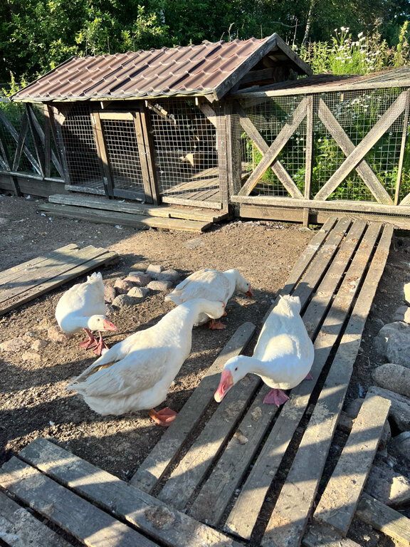 Фото Зюзино