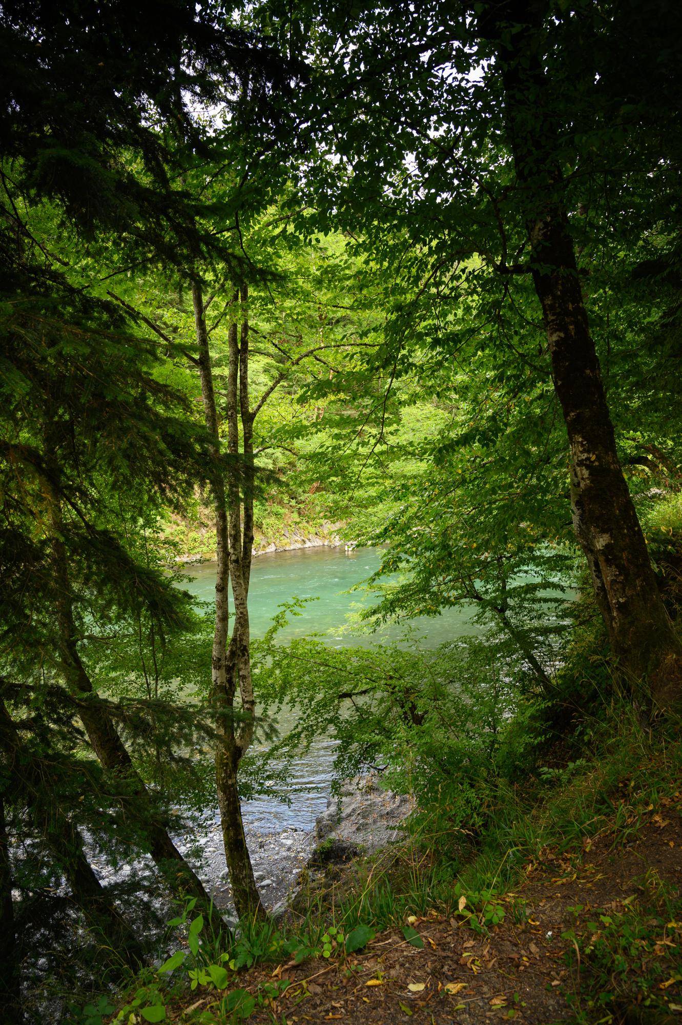 Фото АльтаРио