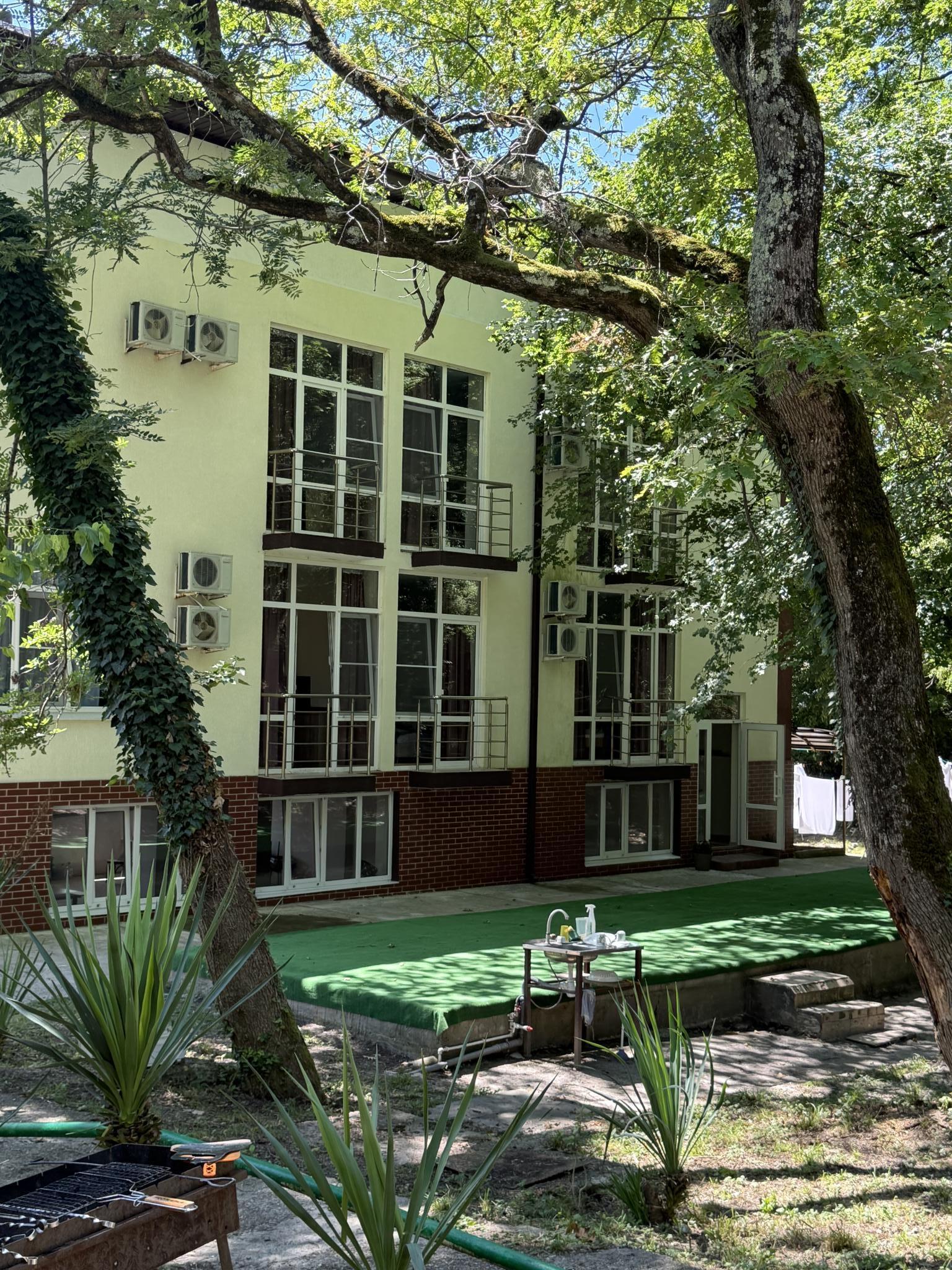 Фото Росинка