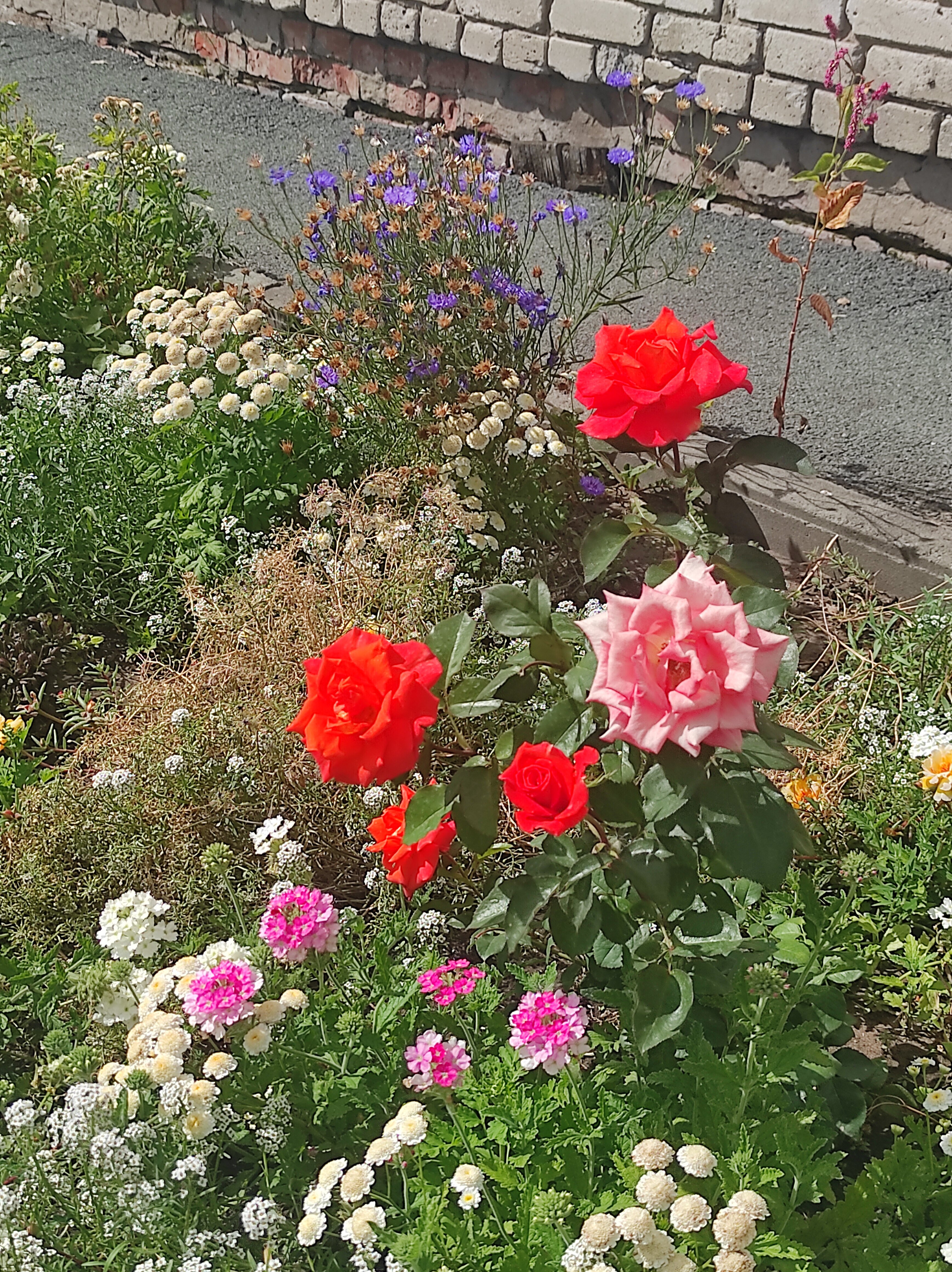 Фото Славянка