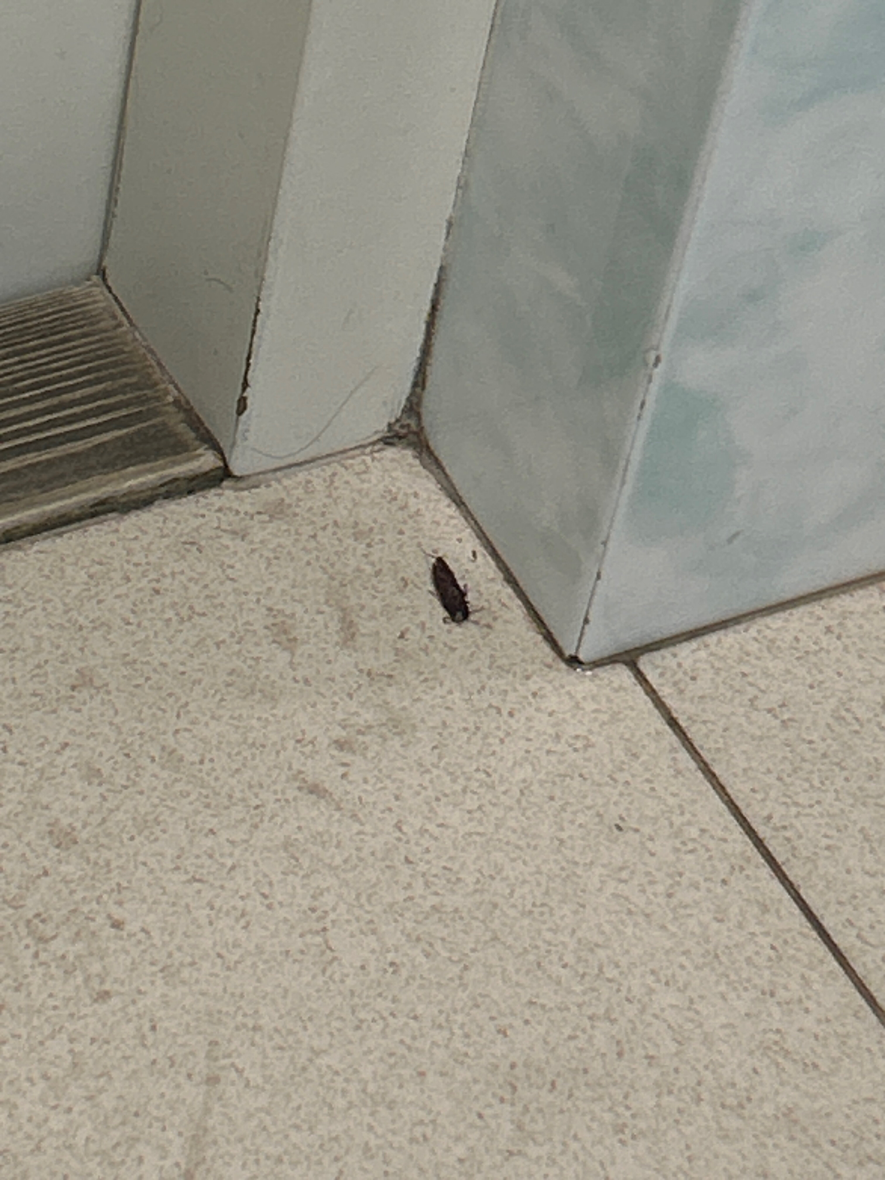 Фото Гостиный двор