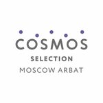 Cosmos Selection Moscow Arbat (Noviy Arbat Street, 2), short-term housing rental