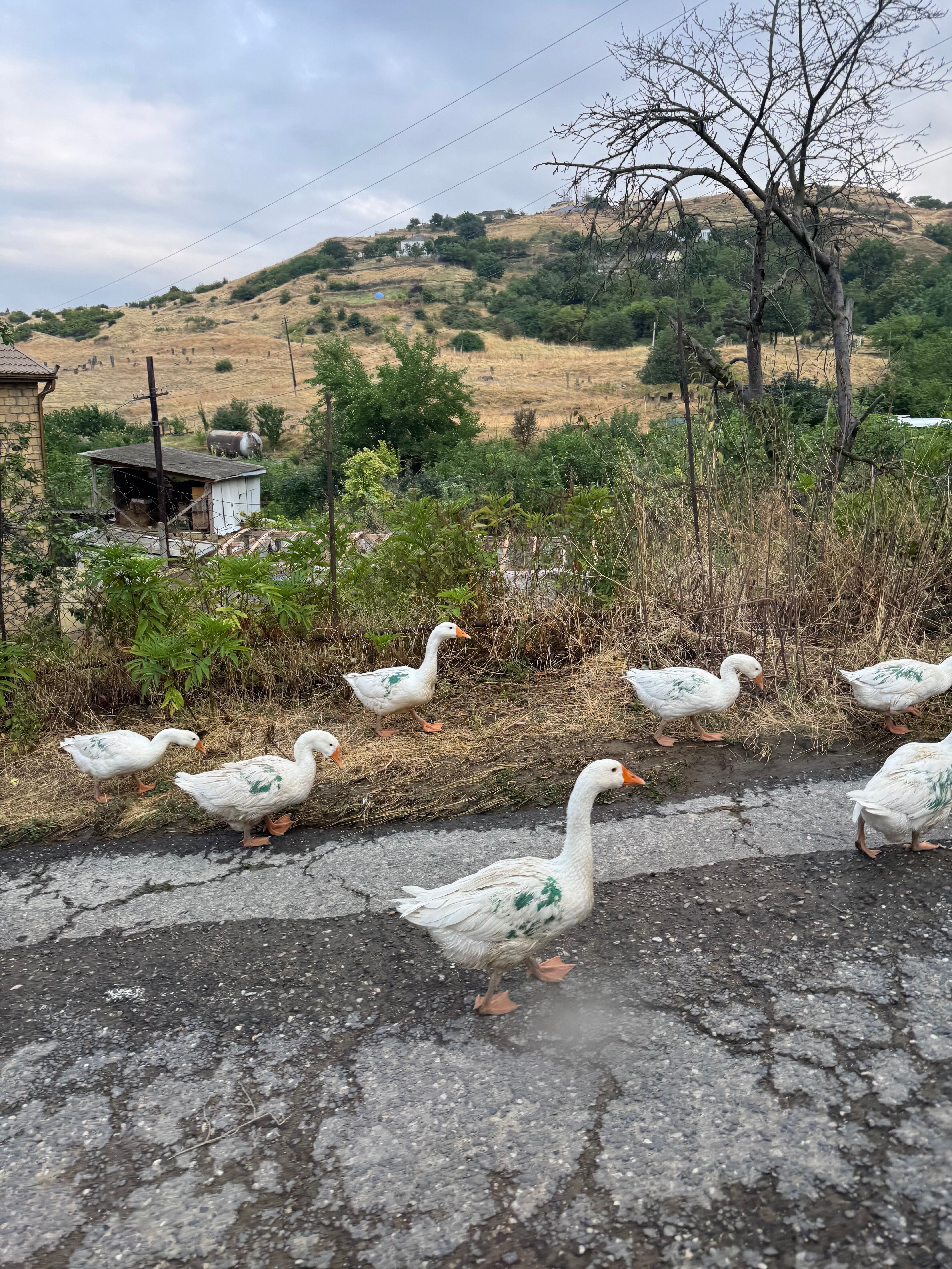 Фото Римини