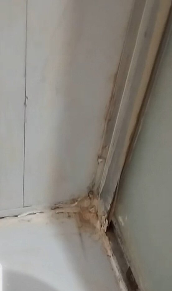 Фото Ветразь