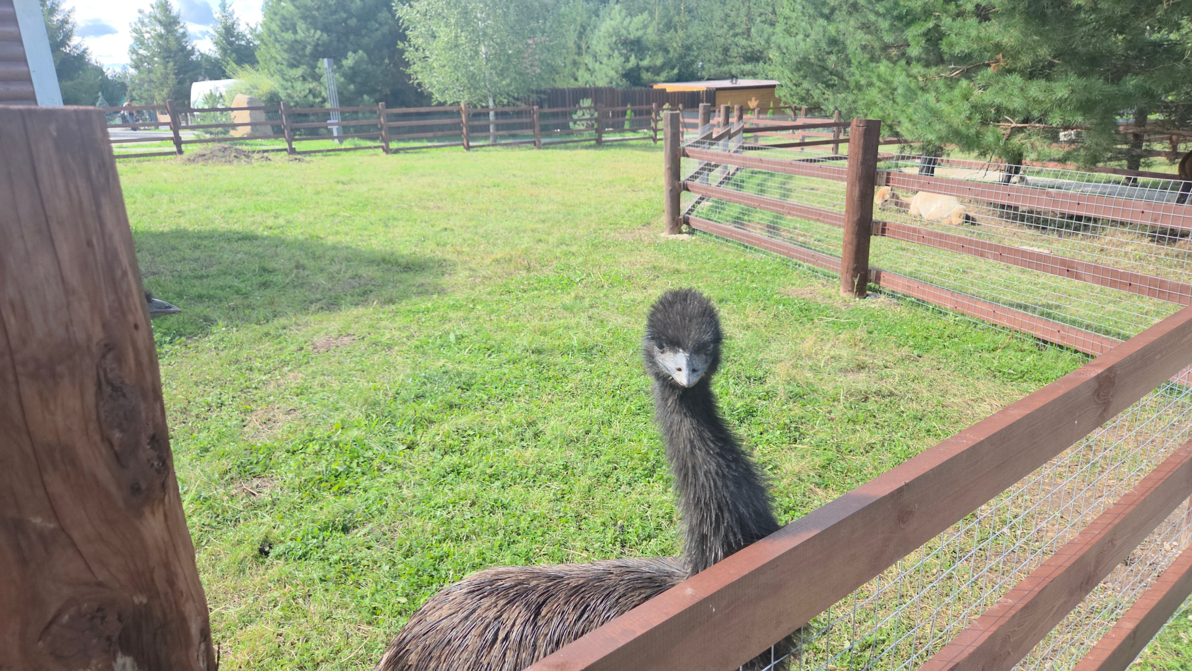Фото Парк-отель История