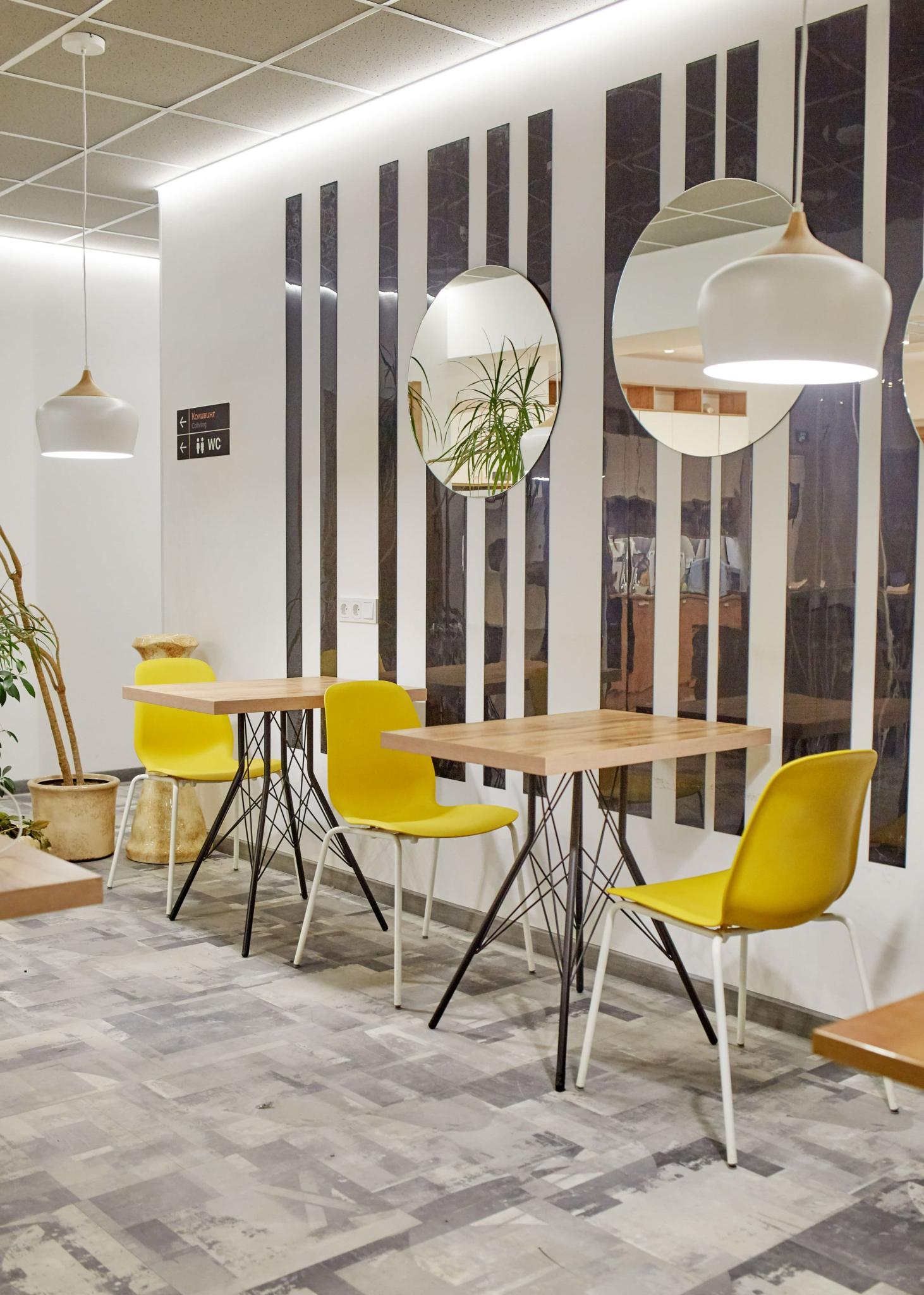 Фото Точка Запятая