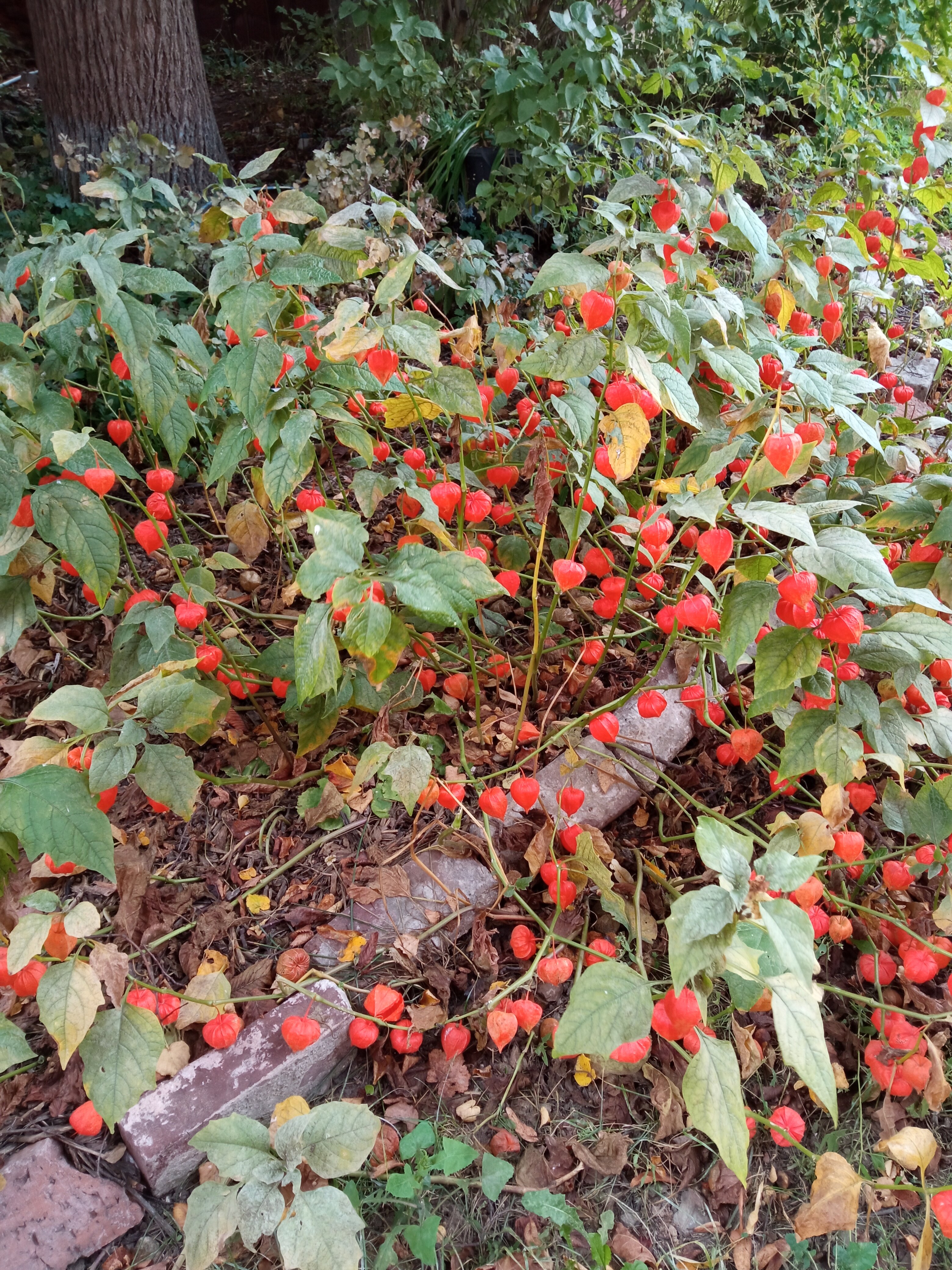 Фото Никольская