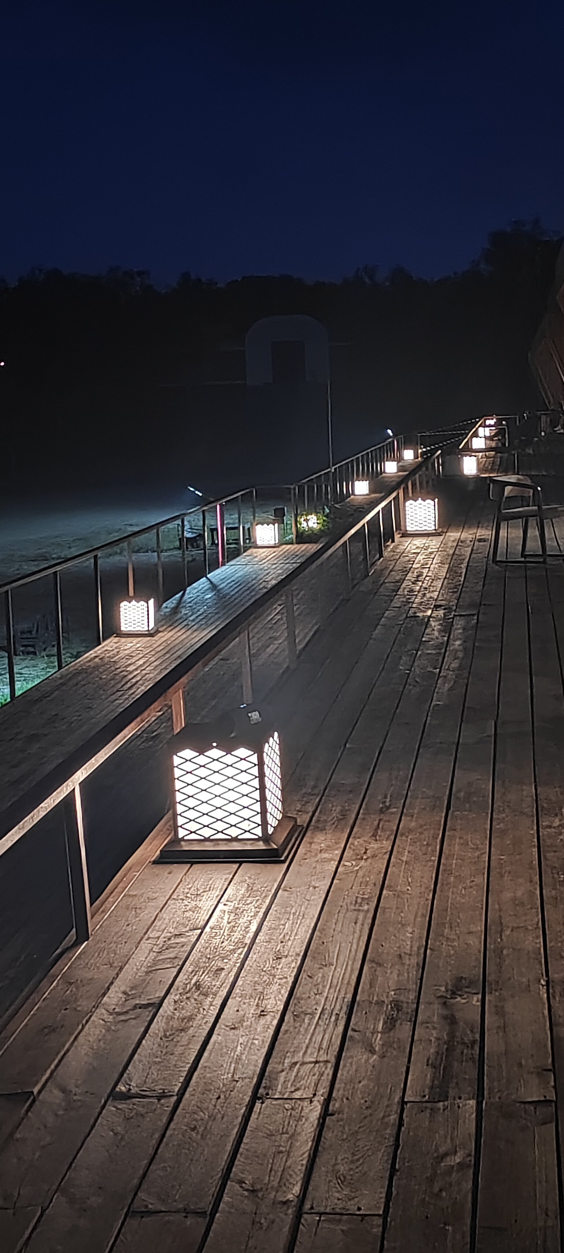 Фото Лазурная черепаха