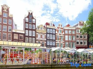 Гостиница Hotel Not Hotel Amsterdam