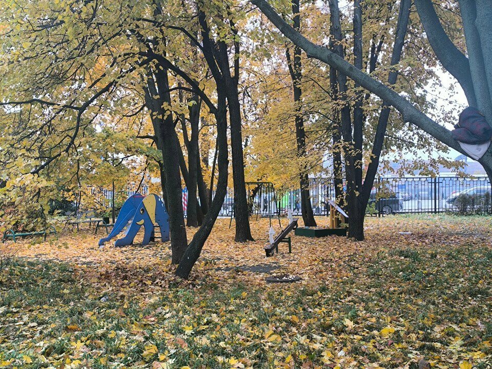 Playground Playground, Moscow, photo