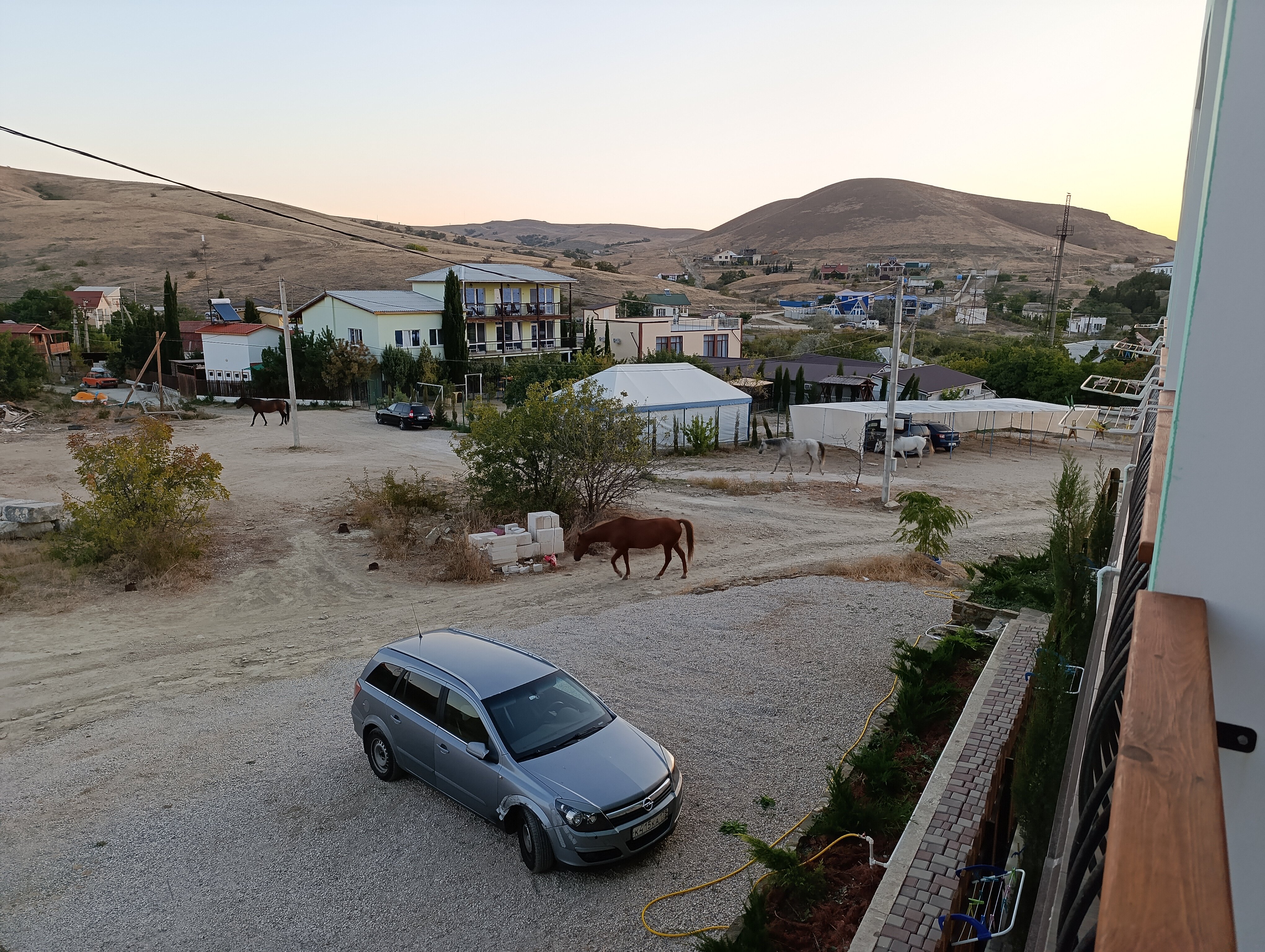 Фото Кипарис