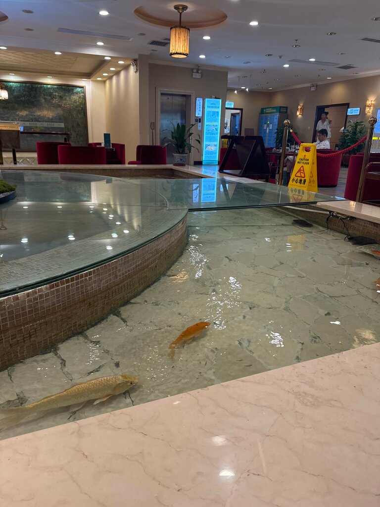 Spa SPA, Guangdong, photo