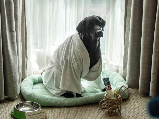 Фото Somerset Millennium Makati