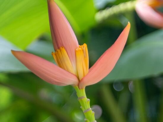 Фото Peaceful Hotel