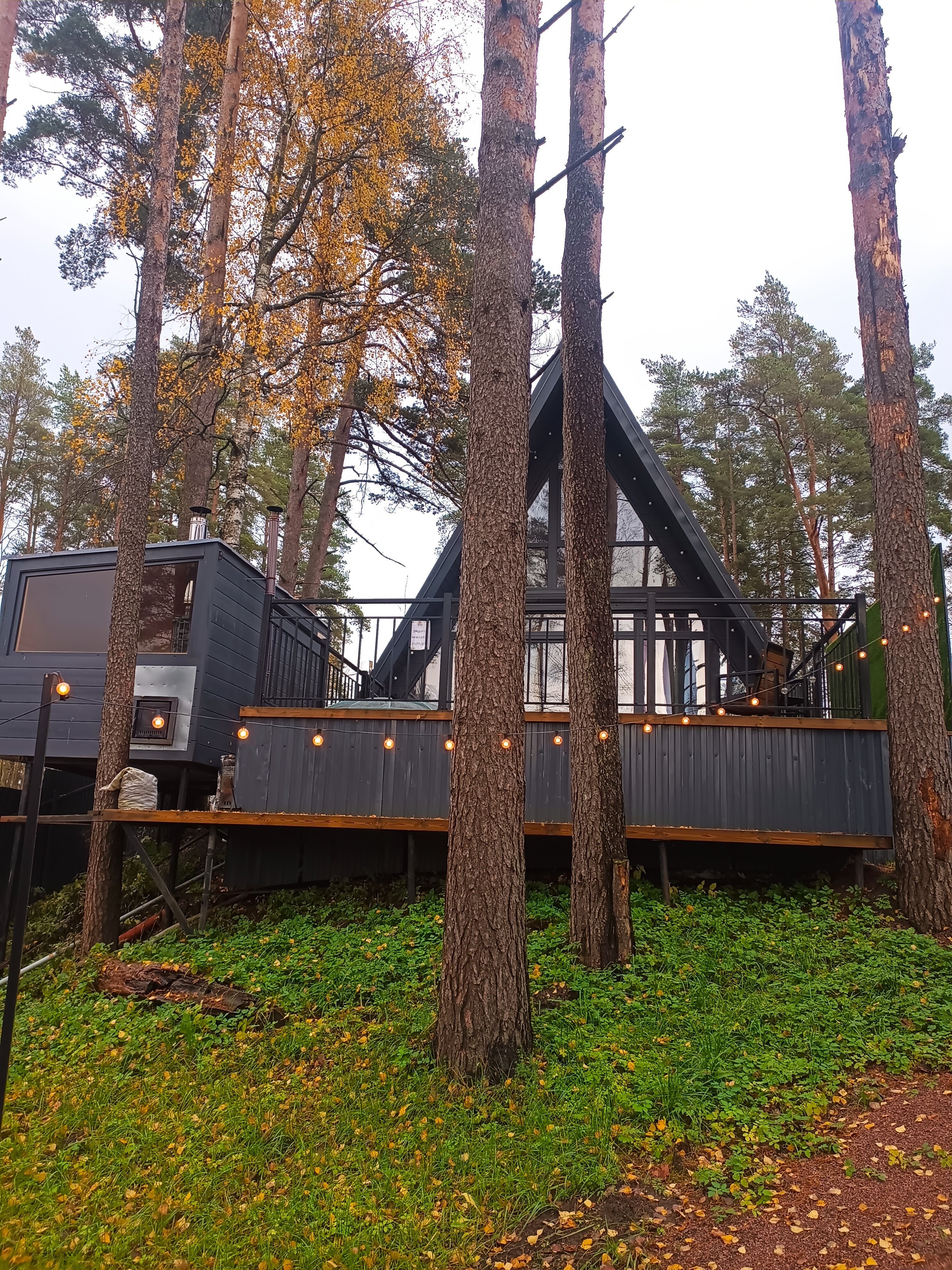 Фото Коттеджный комплекс Сосны