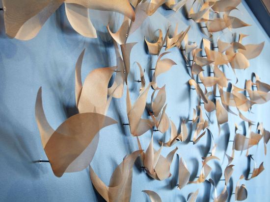 Фото Homewood Suites by Hilton Long Beach Airport