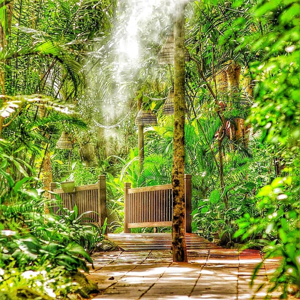 Фото Birds and Bees Resort