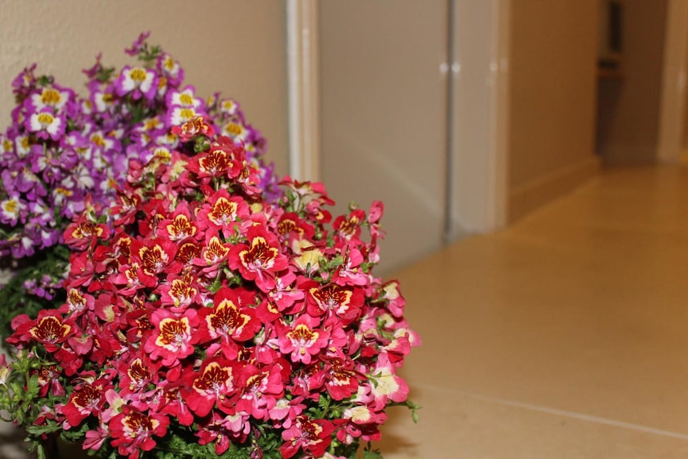 Фото Harmony Rooms