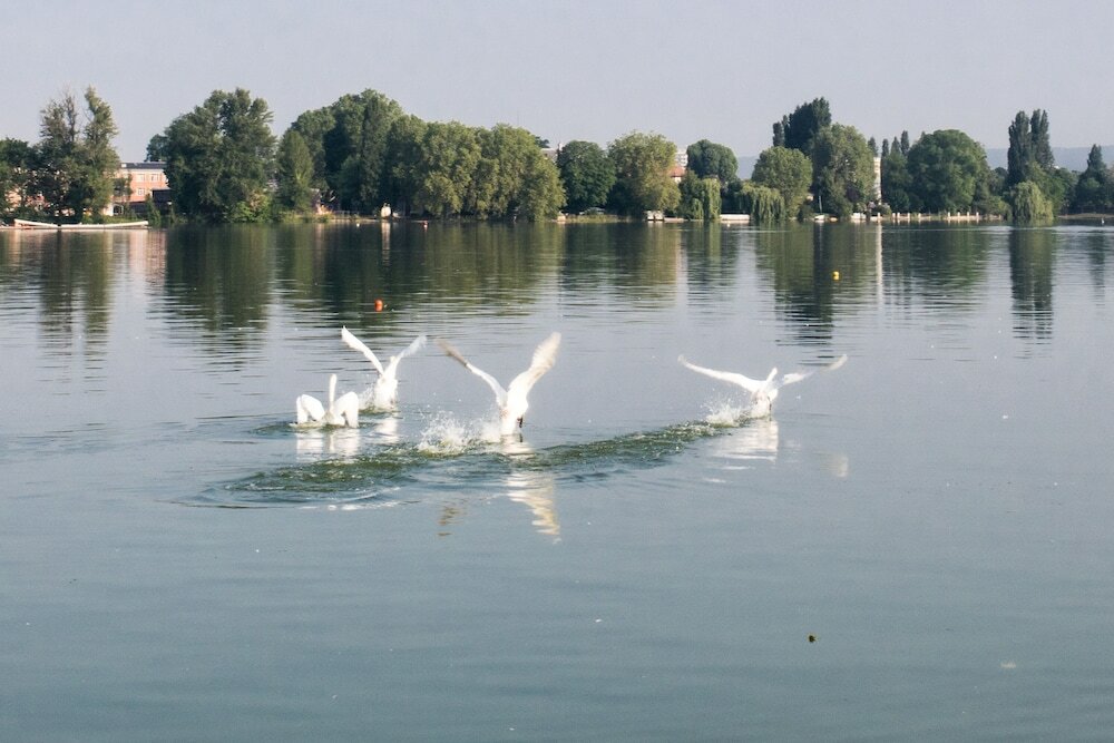 Фото Le Grand Hôtel Enghien-les-Bains