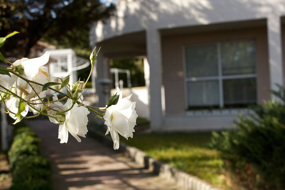 Фото Park hotel Bellevue