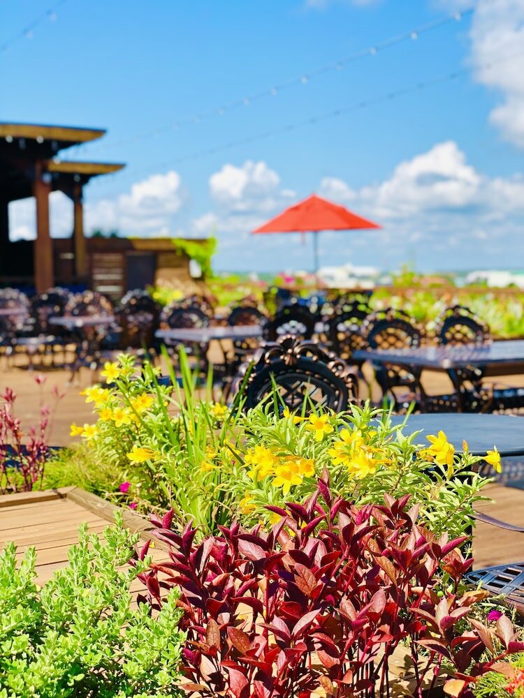 Фото Golden Bay Belize Hotel