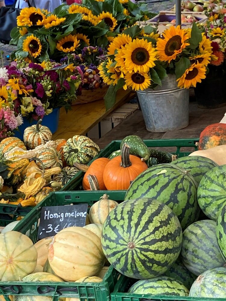 Фото City Hotel Freiburg
