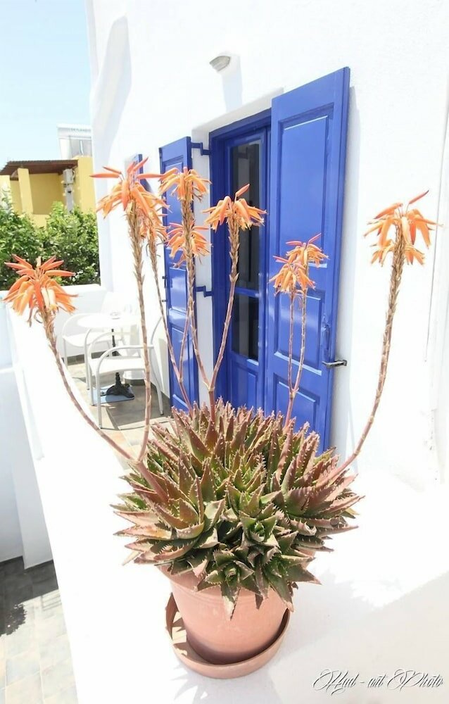 Фото Villa Happening