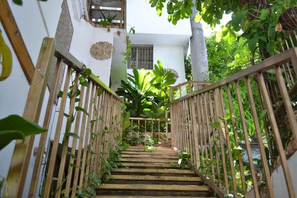 Фото Pacot Breeze