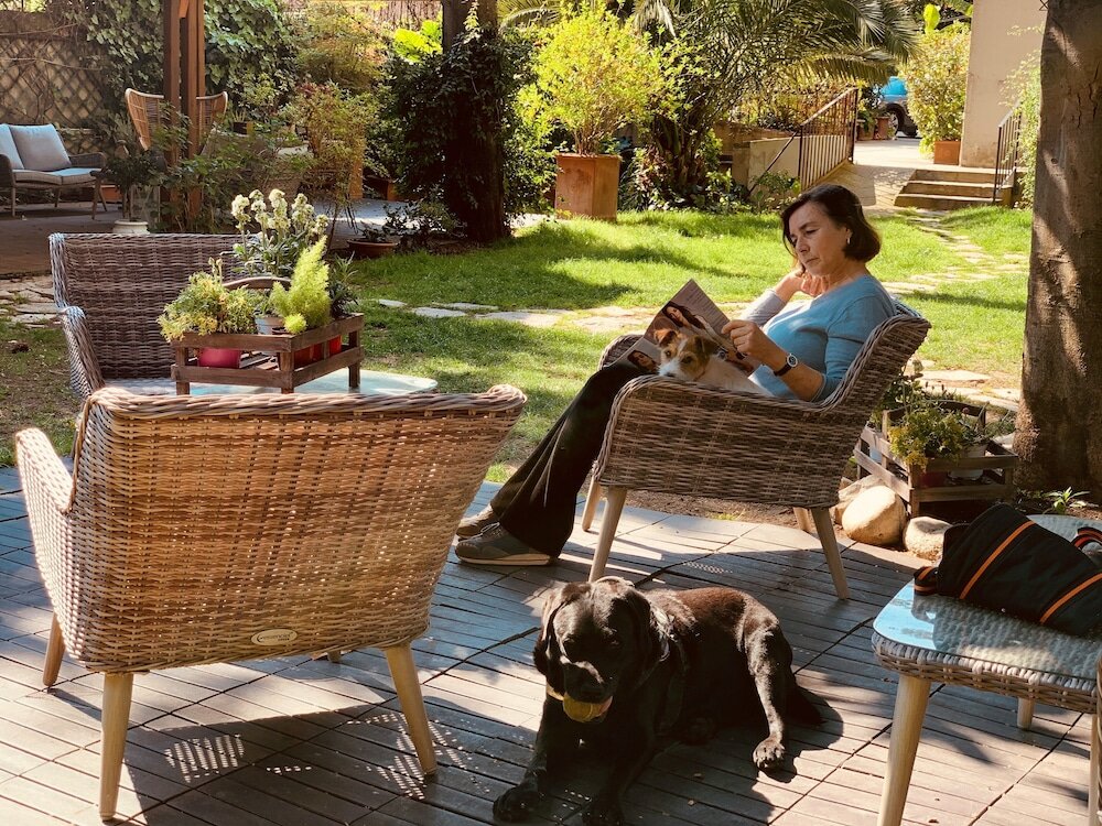 Фото Fenix Hotel