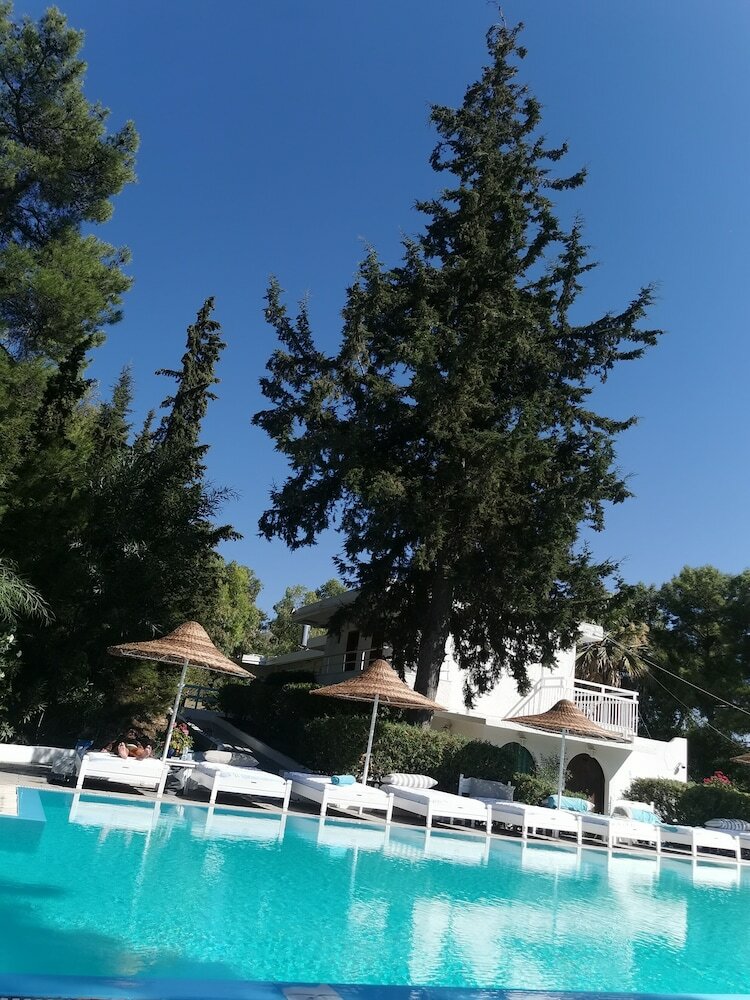 Фото Отель Trees Art Boutique