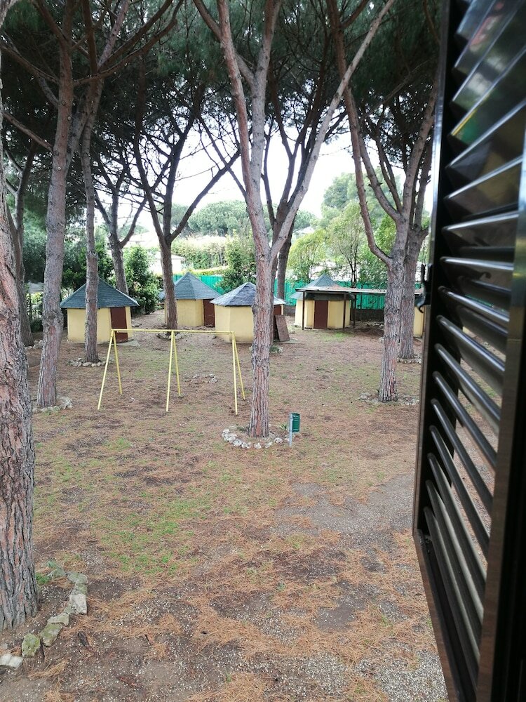 Фото Hotel Paradiso