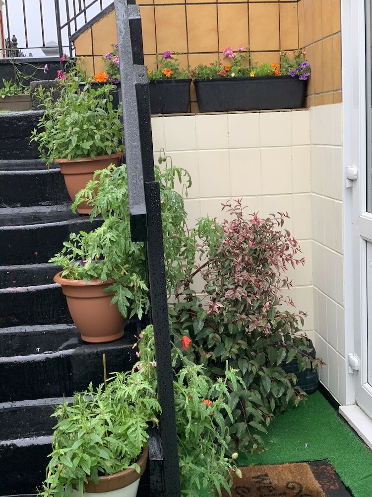 Фото The Alondra Hotel