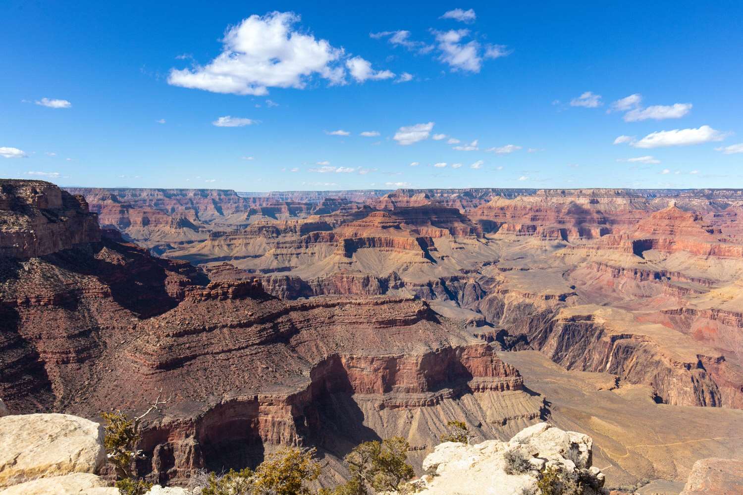 Фото Howard Johnson by Wyndham Williams