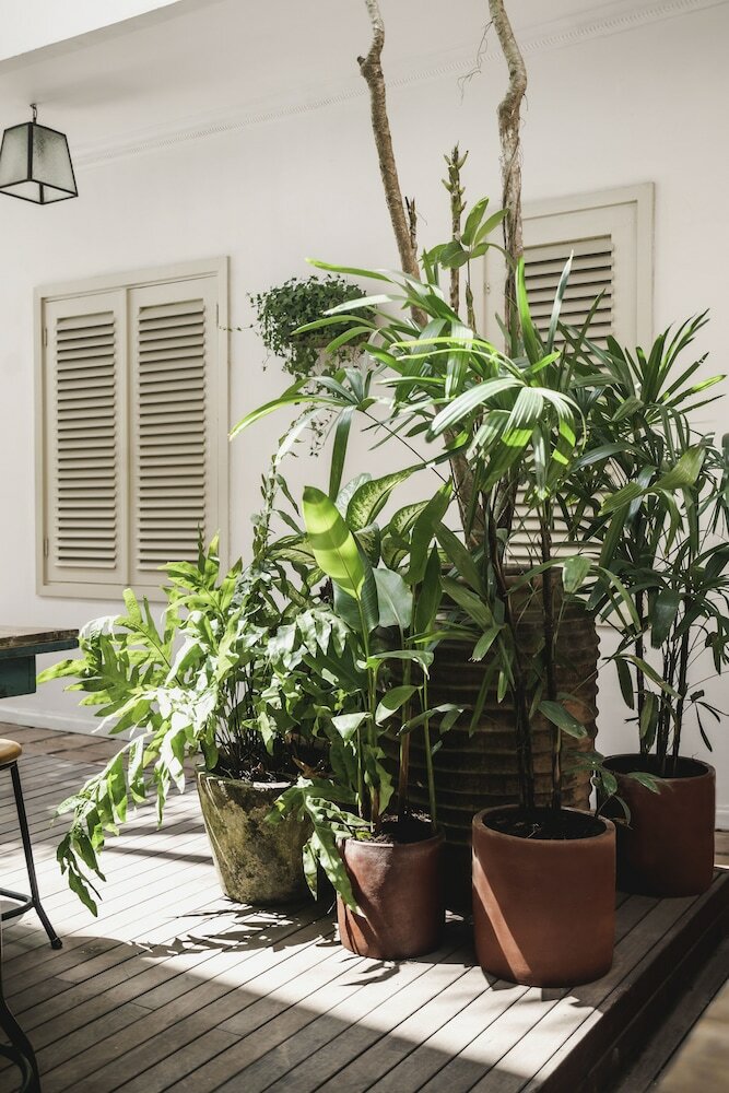 Фото Brown Feather Hotel