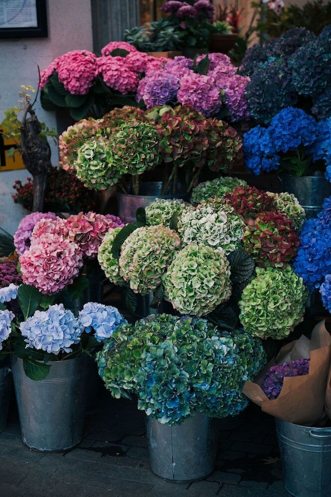 Фото Tophams Hotel