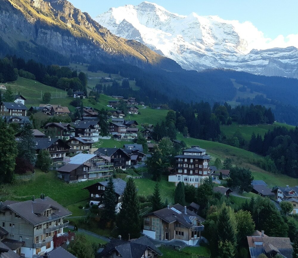 Фото Hotel Regina Wengen