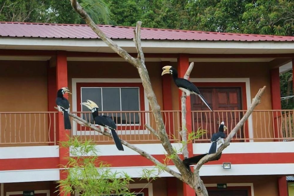 Фото Purnama Beach Resort