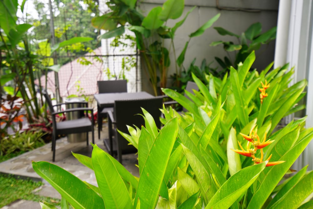 Фото Meize Hotel Bandung