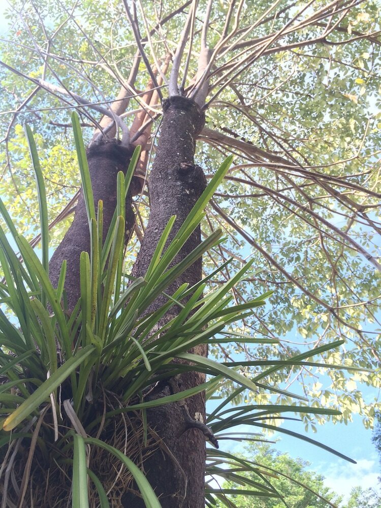 Фото J. Holiday Inn