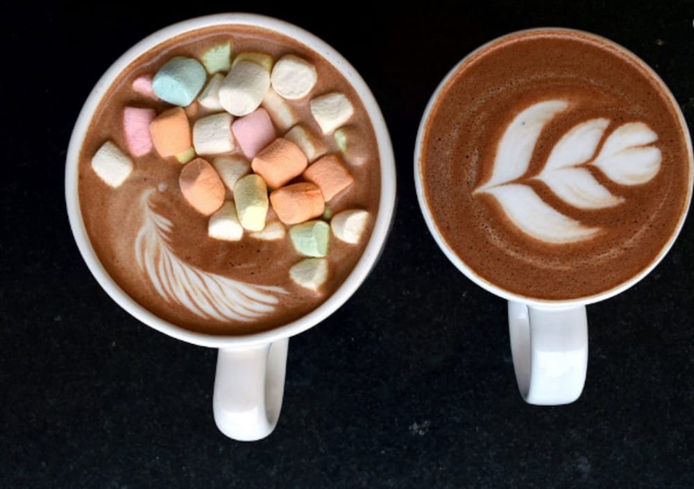 Фото Del Carmen Concept Hotel