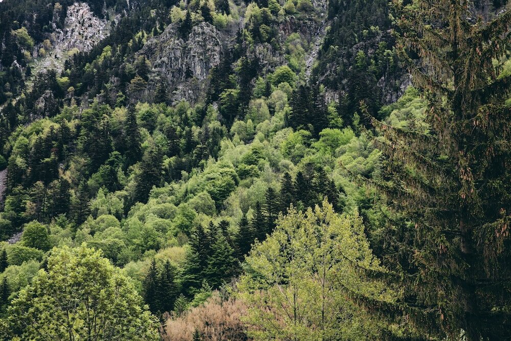 Фото Hotel Caldas