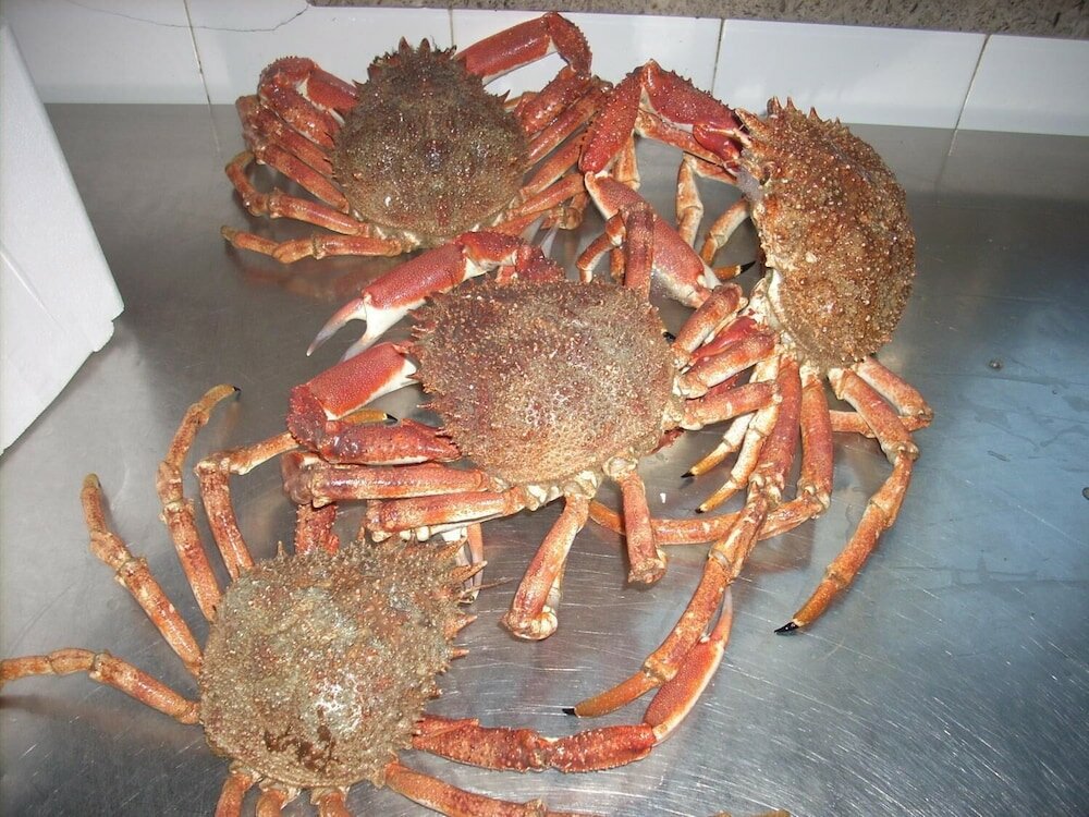 Фото Отель Ai Campi Di Marcello