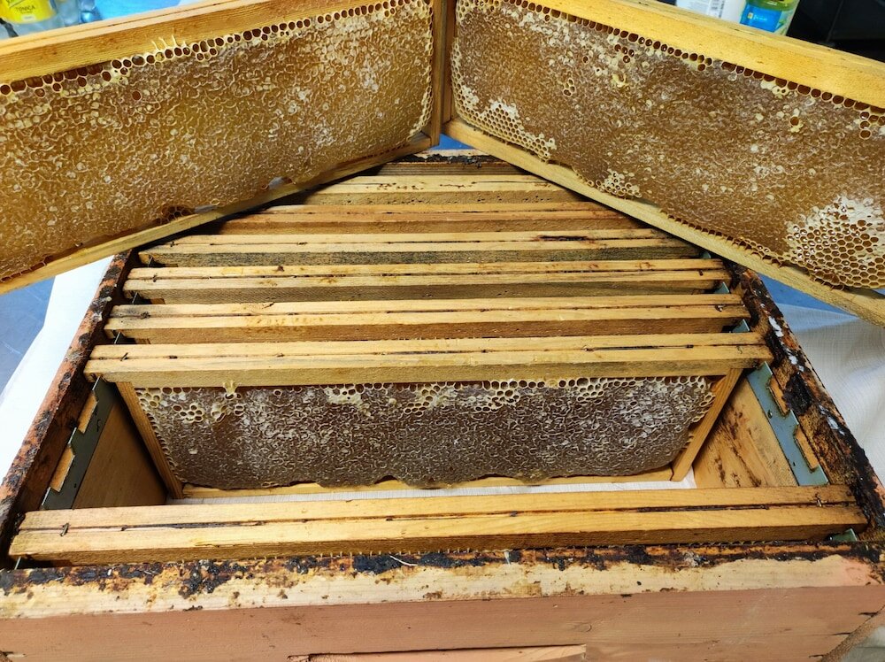 Фото Отель Hieracon