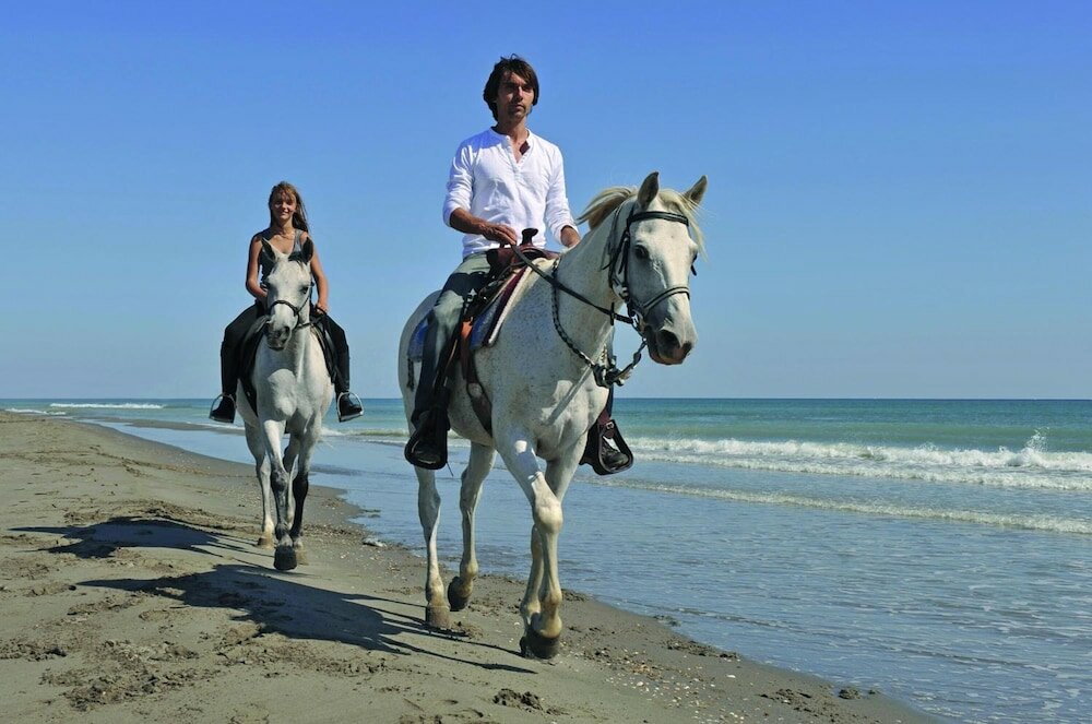 Фото Hotel Sonneninsel Fehmarn