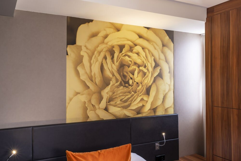 Фото Hôtel Elixir