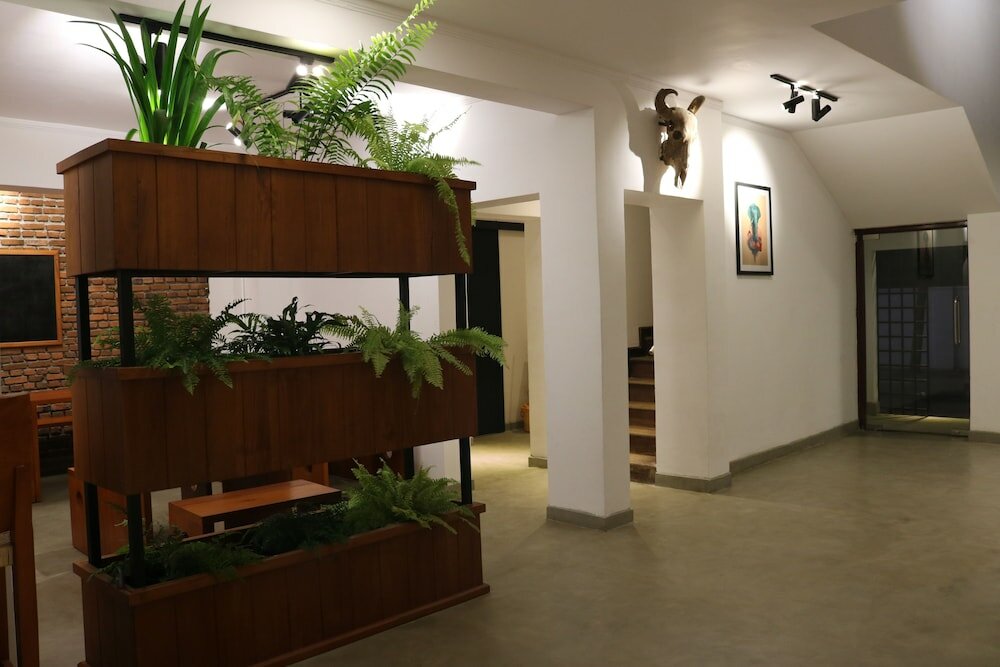 Фото Fern Colombo