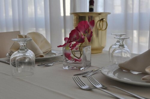 Внешний вид отеля Hotel Adriatic & Beauty в Римини, фото 4