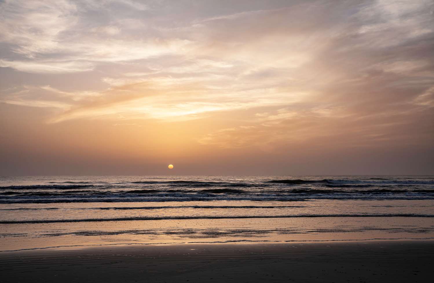 Фото Best Western New Smyrna Beach Hotel & Suites