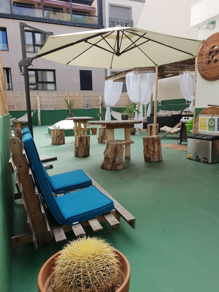 Фото Cactus Host