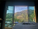 Tall Tree Kata Phuket
